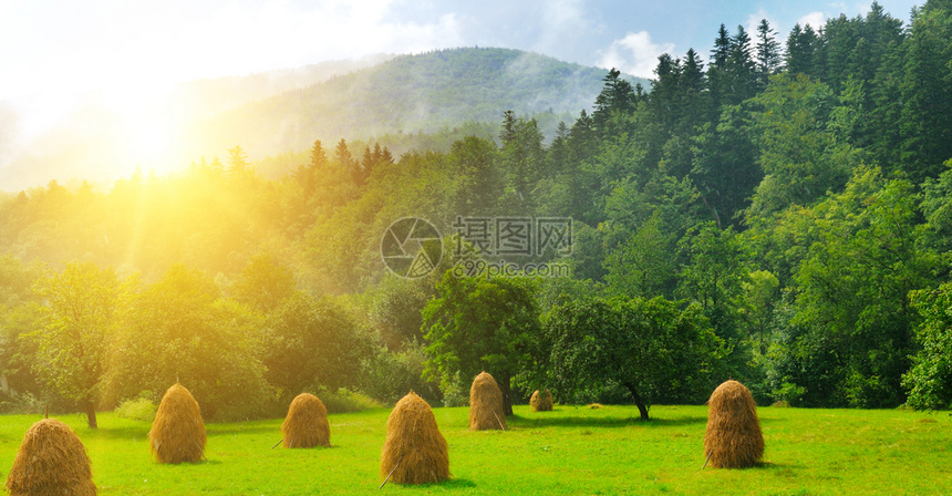 绿色草原上的干堆乡村地貌宽阔的照片图片