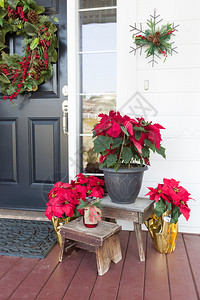 房子前门的圣诞装饰图片