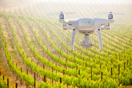 无人驾驶飞机在葡萄园农场上空中飞行图片