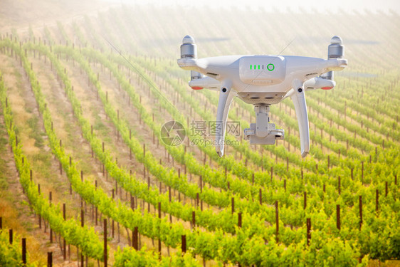 无人驾驶飞机在葡萄园农场上空中飞行图片