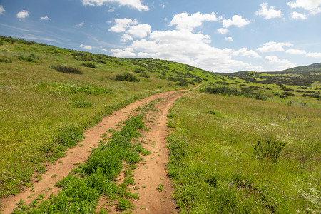 土路在大草原上通向山丘的青草原上图片