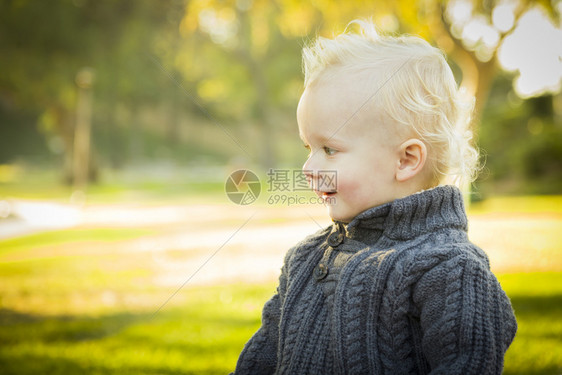 可爱的金发小宝贝男孩户外公园图片