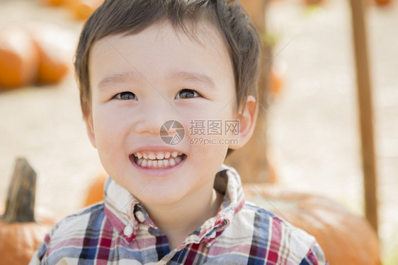 可爱的混合种族年轻男孩在南瓜草地玩得开心图片