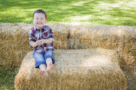 可爱的混杂种族男孩在外面干草上玩得开心图片
