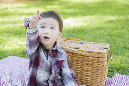 坐在野餐篮子附近的公园里可爱混杂种族男孩图片