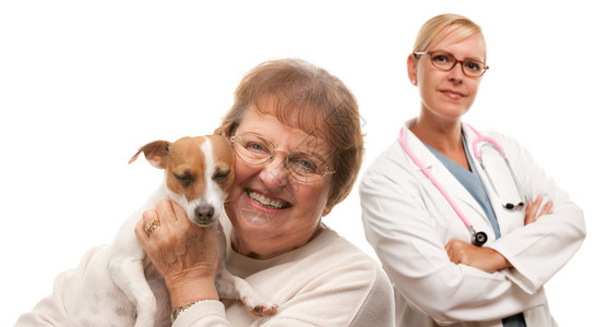 快乐的老年女人与她的狗和兽医孤立在白色背景图片