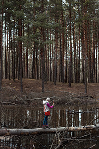 游客在湖边的一棵落树上行走图片