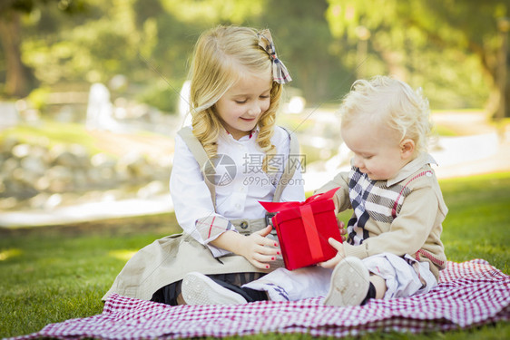 甜美的小女孩给她弟一个包装礼物在野餐毯公园的户外图片
