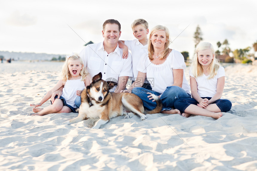 幸福的一家人和狗狗在沙滩上开心的玩耍图片