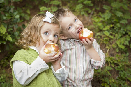 可爱的弟和妹孩子在外面吃大红苹果图片
