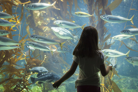 令人惊讶的年轻女孩站在巨大的水族馆观察玻璃上图片