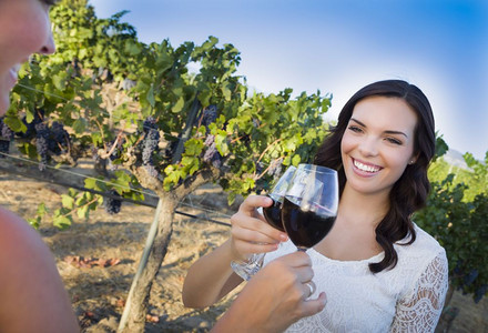 年轻成女子在葡萄园和朋友一起喝杯葡萄酒图片