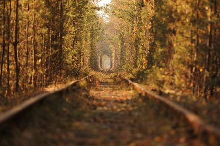 爱的秋天隧道图片