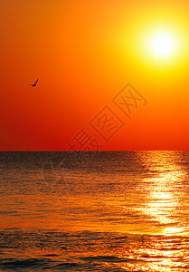 太阳在海面上升起概念是旅行图片