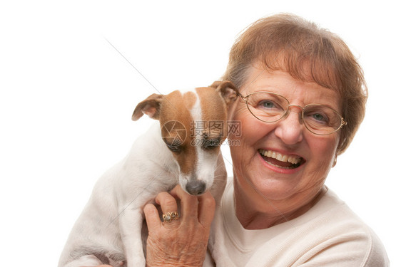 快乐的有吸引力老女人与小狗隔离在白色背景图片