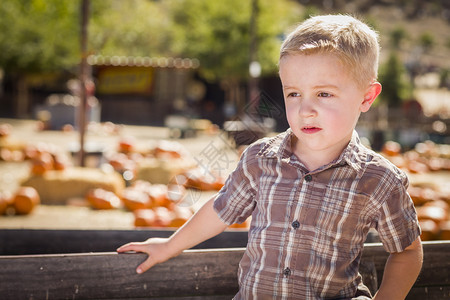 可爱的小男孩站在乡下南瓜草地和旧木马站在一起图片