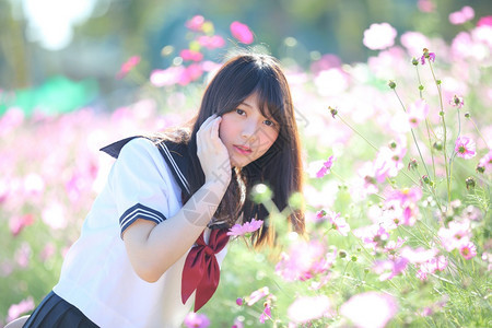 带着宇宙花笑容的日本女学生制服图片