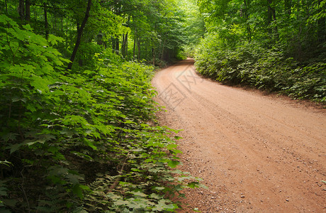 乡村公路和草地在夏季的一天乡村公路和草地图片