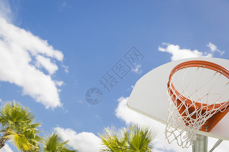 社区篮球圈网和棕榈树对蓝天的抽象意义图片