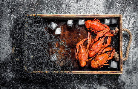 生锈背景的用冰和渔网在木质托盘上煮熟的龙虾用冰和渔网在木质托盘上煮熟的龙虾图片