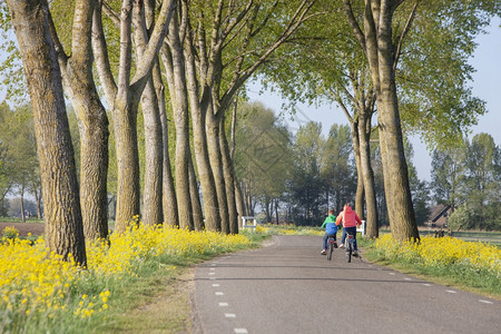 春在内地莱尔达姆附近在乡村公路上骑自行车的黄色花朵和多彩儿童图片