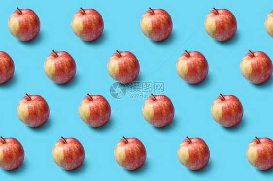 新鲜采摘的成熟天然有机苹果的横向实模式蓝底软影子素食者概念新鲜天然有机苹果模式蓝底图片