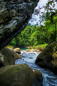 丛林雨赵苏克公园泰兰丛林雨赵苏克泰兰的河流图片