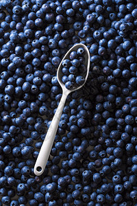 新鲜采摘的有机蓝莓堆成放在汤匙上满了成熟的蓝莓水果美味甜的夏季水果背景图片