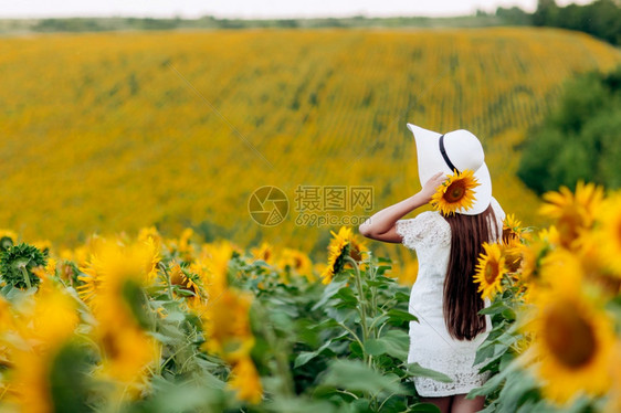 身着白帽子的快乐美丽年轻女孩站在大片的向日葵田中夏季时间后视选择焦点向日葵田中的女戴着白帽子的快乐美丽年轻女孩站在大片向日葵田中图片