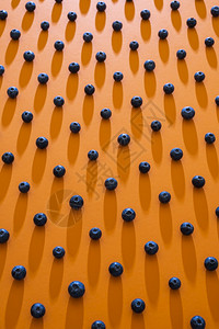 在无缝橙色背景上对齐的有机蓝莓珠的滑稽模式成熟的夏季水果背景图片