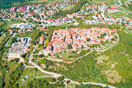 buzet山丘的buzet土豆镇四周环绕着石墙绿色风景空中的图片