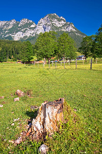 伯尔赫提斯加登阿卑山区域风景巴伐利亚地区图片