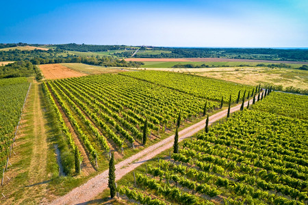 地中海式农业图片