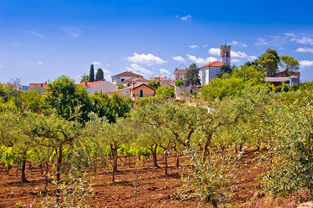 绿地风景中的Nova花岗岩村croati的Isr地区图片