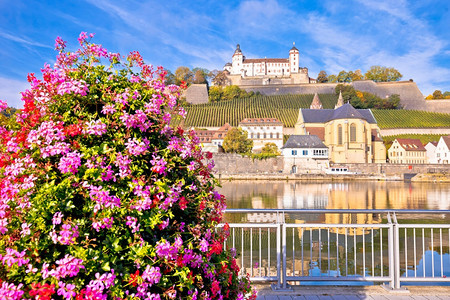 布尔茨堡主要河滨和南风雪堡城和葡萄园反射视图巴伐利亚地区图片