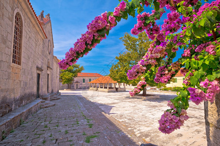 科库拉岛历史石广场小屋和教堂观光南部croati的Dlmti地区图片