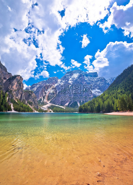 在意大利南暴发地区绿湖石水和白藻黄蜂风景图片