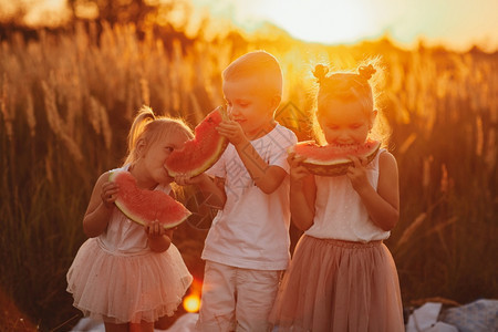 夏季快乐的孩子在田野日落时吃西瓜夏季野餐快乐的童年选择焦点图片
