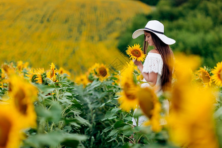 穿着白色礼服和帽子的快乐女人在向日葵田中享受阳光夏季在年轻女孩的向日葵田上行走有选择地关注穿着白色礼服和帽子的快乐女人在向日葵田图片