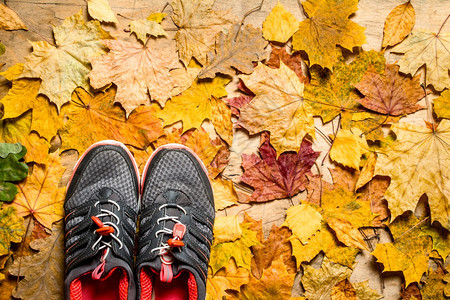 秋天风格叶上的运动鞋图片