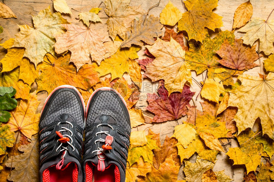 秋天风格叶上的运动鞋图片