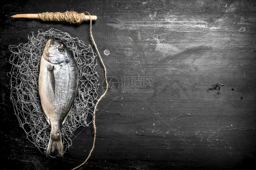 鱼网上的新鲜海黑板上的新鲜海鱼渔网上的新鲜海鱼图片