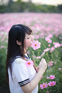 穿着粉红宇宙花的日本女学生制服的日本女学生肖像图片