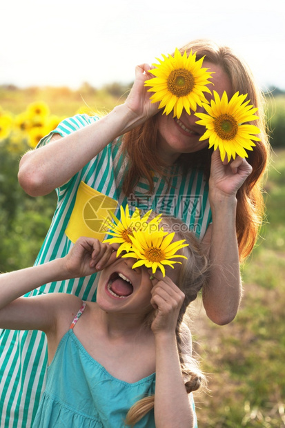 在日落时的向葵场上疯狂的快乐女孩们家庭母亲和女儿图片