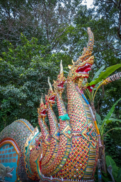 泰国清迈素贴寺的龙像龙雕像素贴寺泰国清迈图片