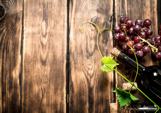 酒瓶红葡萄卷在木制桌子上葡萄卷起来图片