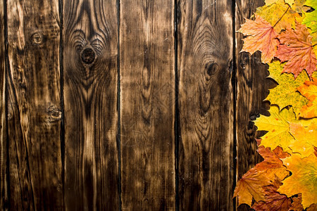 秋天的树叶木制背景图片