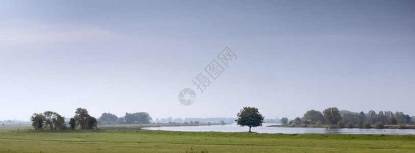 荷兰列克河畔的树木景观图片