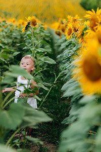 小女孩手里拿着向日葵暑假的概念婴儿和白天选择焦点带向日葵的可爱女婴暑假的概念婴儿和一天选择焦点图片