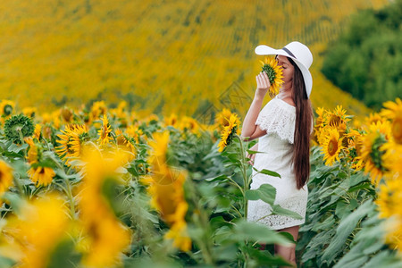 身着白衣和帽子的美丽年轻女子身着白衣和帽子身着向日葵女孩手握着向日葵暑假美丽的年轻女子身着向日葵女孩手持向日葵图片